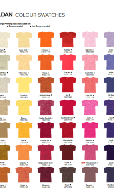 STYLE & COLOR GUIDE 2024 - Image 3